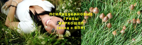 мескалин Аркадак