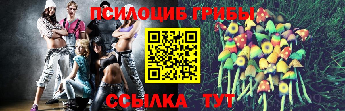 Псилоцибиновые грибы Psilocybe  Вход с VPN  Псилоцибиновые грибы Psilocybine cubensis  Пятигорск 