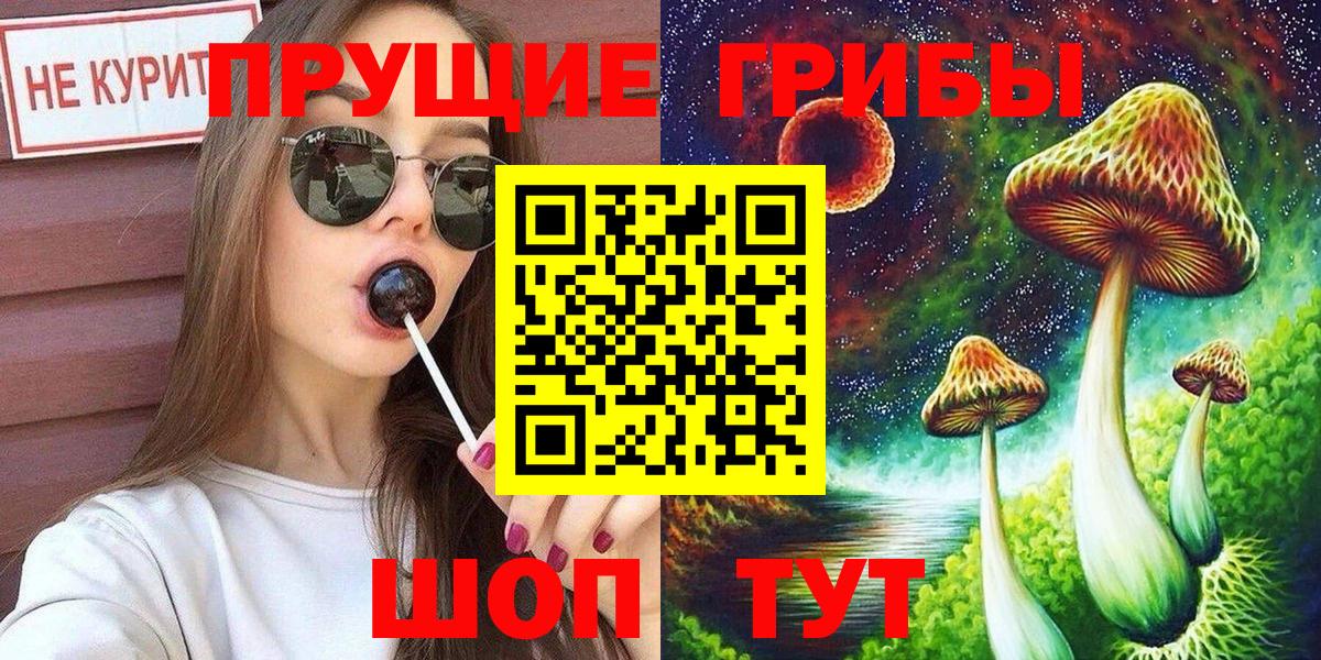Псилоцибиновые грибы мухоморы Пятигорск
