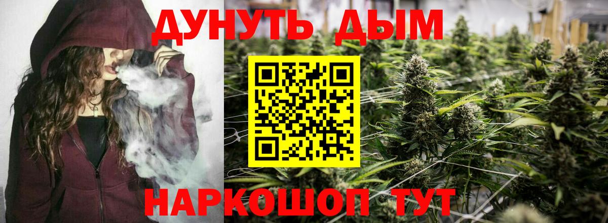 Пятигорск  Шишки марихуана Amnesia  Конопля конопля  Вход с VPN  Марихуана OG Kush 